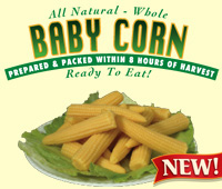 Baby Corn